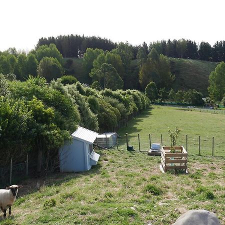 Aston Road Villa Bed & Breakfast Waikanae Exterior photo